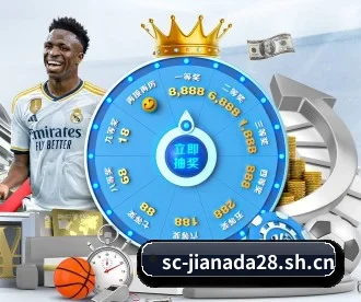 加拿大28 APP